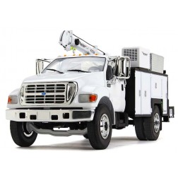 Ford F-650 with Maintainer Service Body
